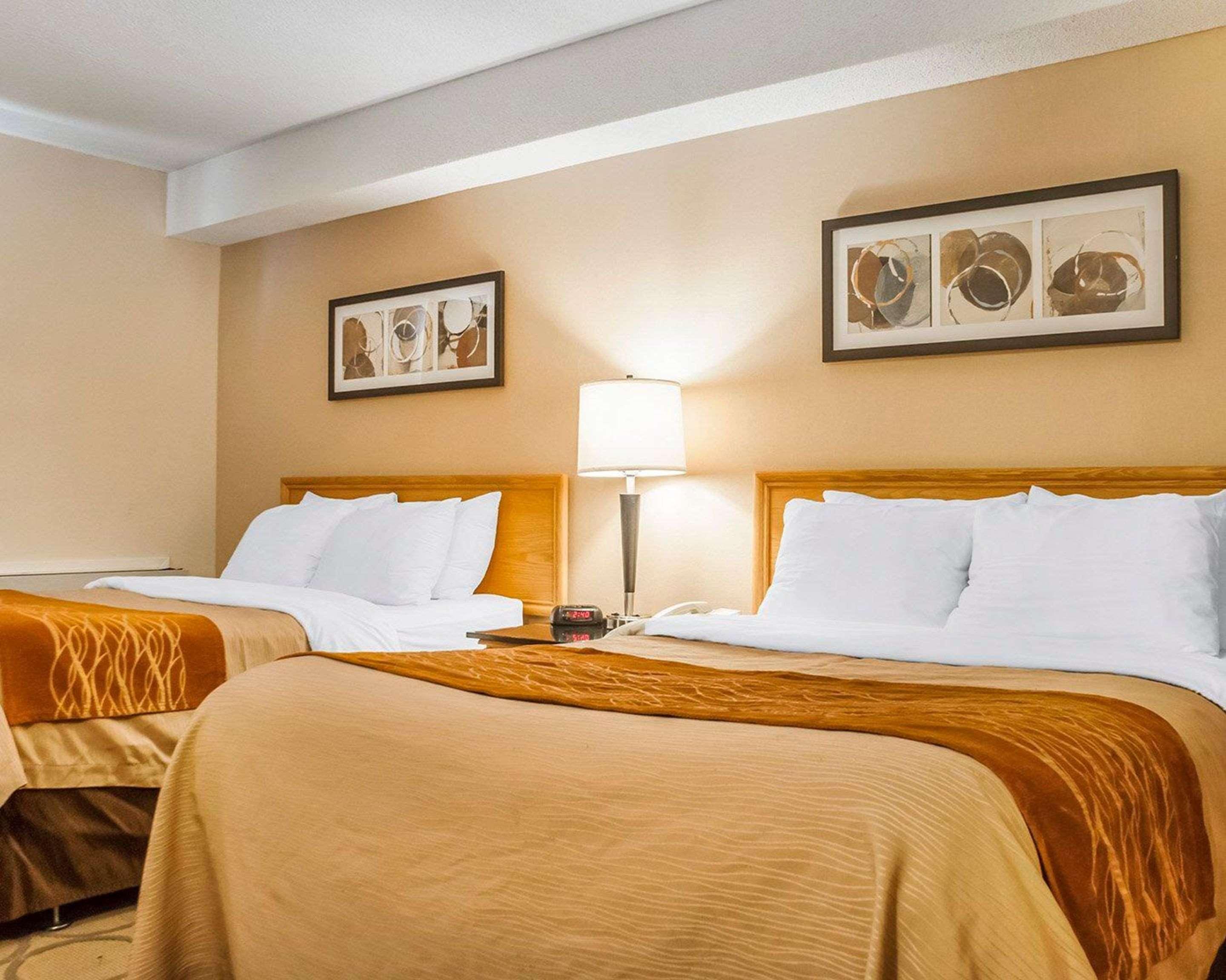Comfort Inn Newmarket Buitenkant foto